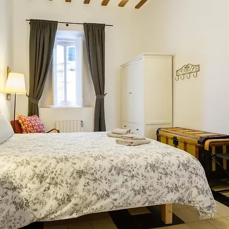 Arboli * Cadice
